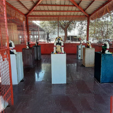 Navagraha Pooja